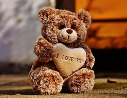 Sam is a teddy bear