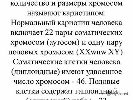 Сколько аутосом содержится в яйцеклетке