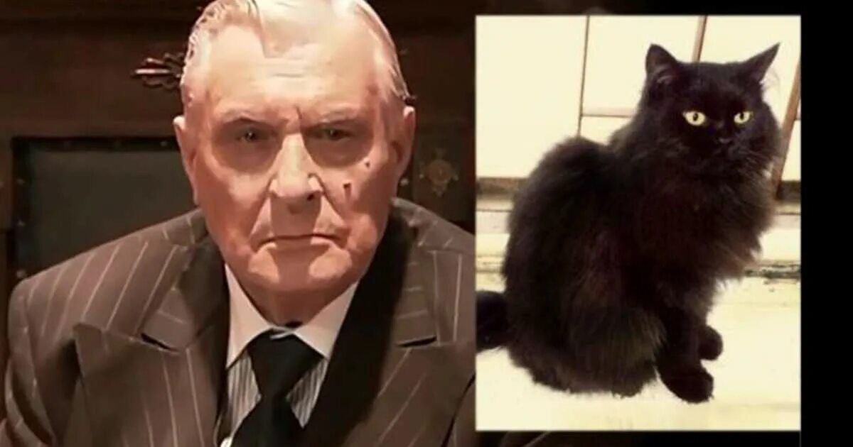 Актер игравший кота бегемота. Воланд кот бегемот 2025. воланд фильм 2025 кот бегемот. мастер и маргарита кот бегемот актер. семен фурман кот бегемот.
