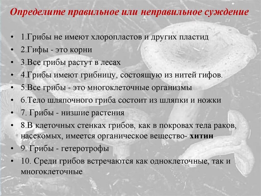 Как отличить правильную. Грибы не имеют хлоропластов и других пластид. Суждения о грибах. Неправильные суждения. Суждение грибы не имеют хлоропластов.