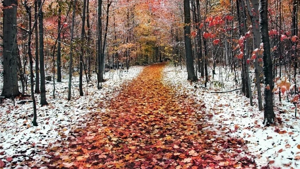 Сентябрь золотая осень. Таки октябрь. Октябрь природа. Октябрь середина осени. Красота поздней осени.