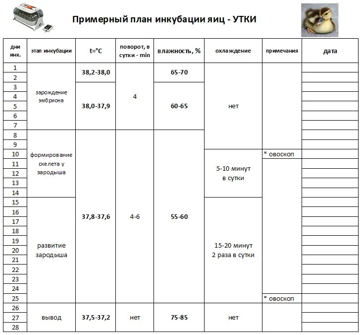 Таблица для инкубатора куриных яиц несушка. Температурный режим для инкубации утиных яиц таблица. График инкубации утиных яиц таблица. Таблица инкубации утиных яиц в инкубаторе Несушка 63. Таблица инкубации куриных яиц автоматический инкубатор Несушка.