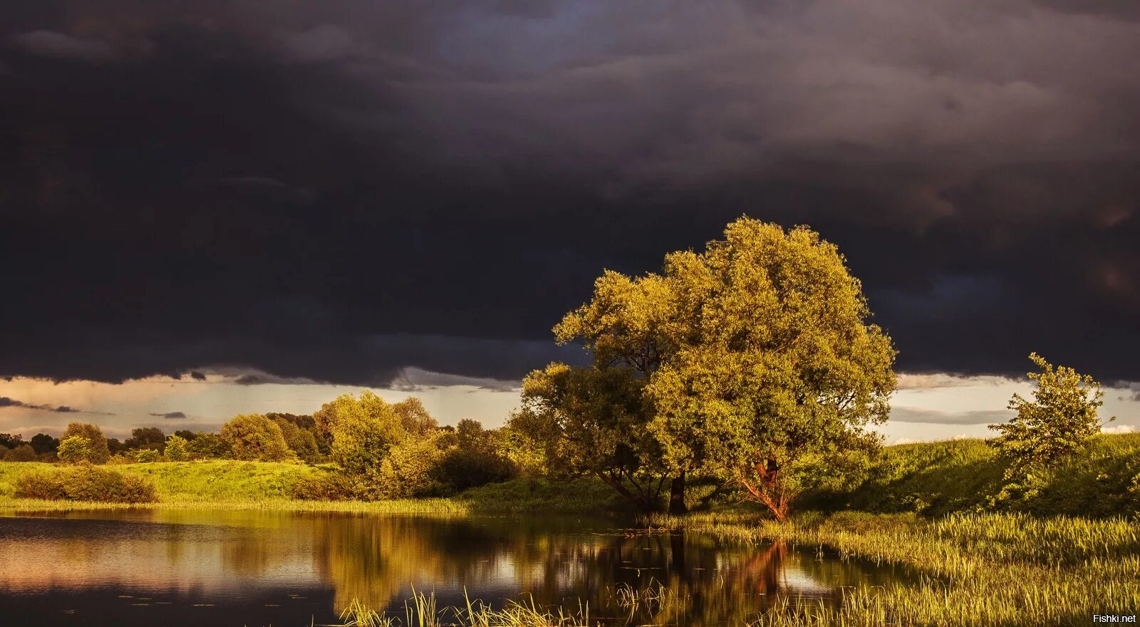 поле река ветер. поле река ветер. природа с грозой. поле перед грозой. ветер на речке.