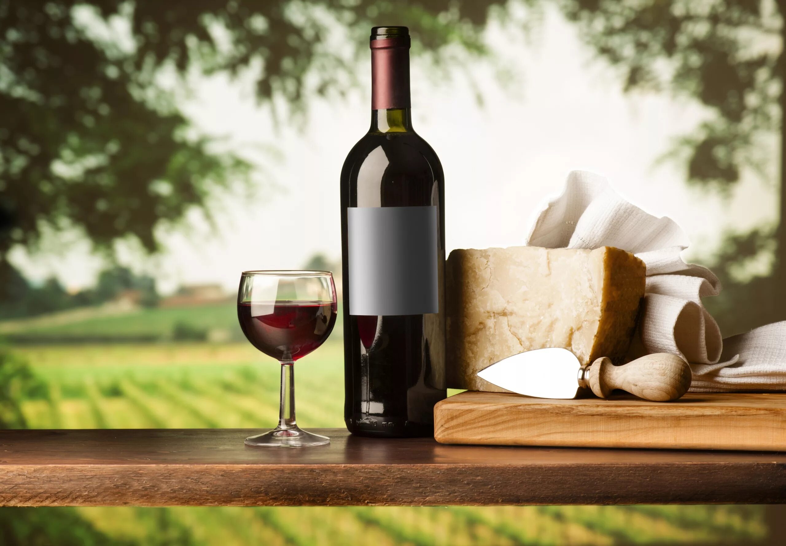 Вино винем. Cricova winery молдова. Молдавия виноградники. Вино makedonsko crveno. Вино красное сухое.