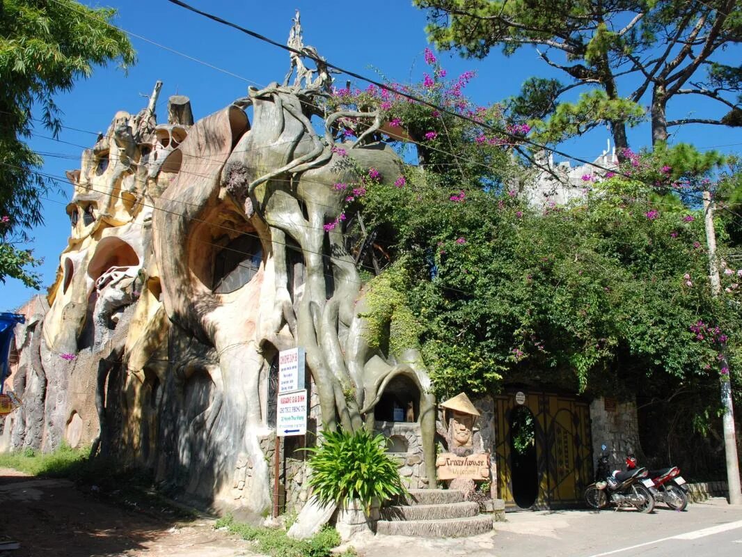 Вьетнам город весны дом crazy house. Город далат сумасшедший дом вьетнаме. The crazy house. Crazy house hotel вьетнам. The crazy house.