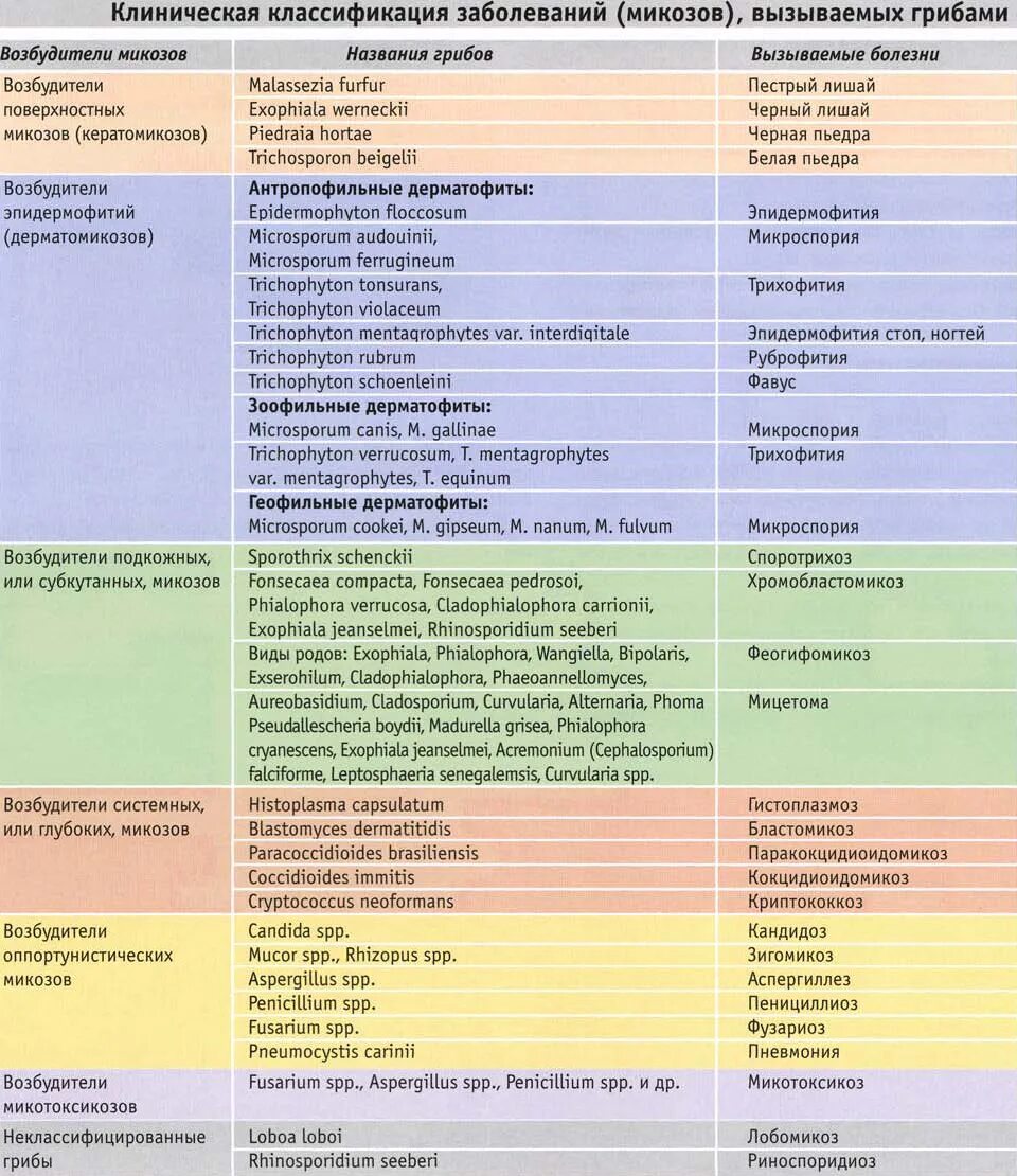 Классификация микозов. Классификация митоза. Грибковые заболевания таблица. Название грибковых заболеваний. Инфекционные заболевания грибы