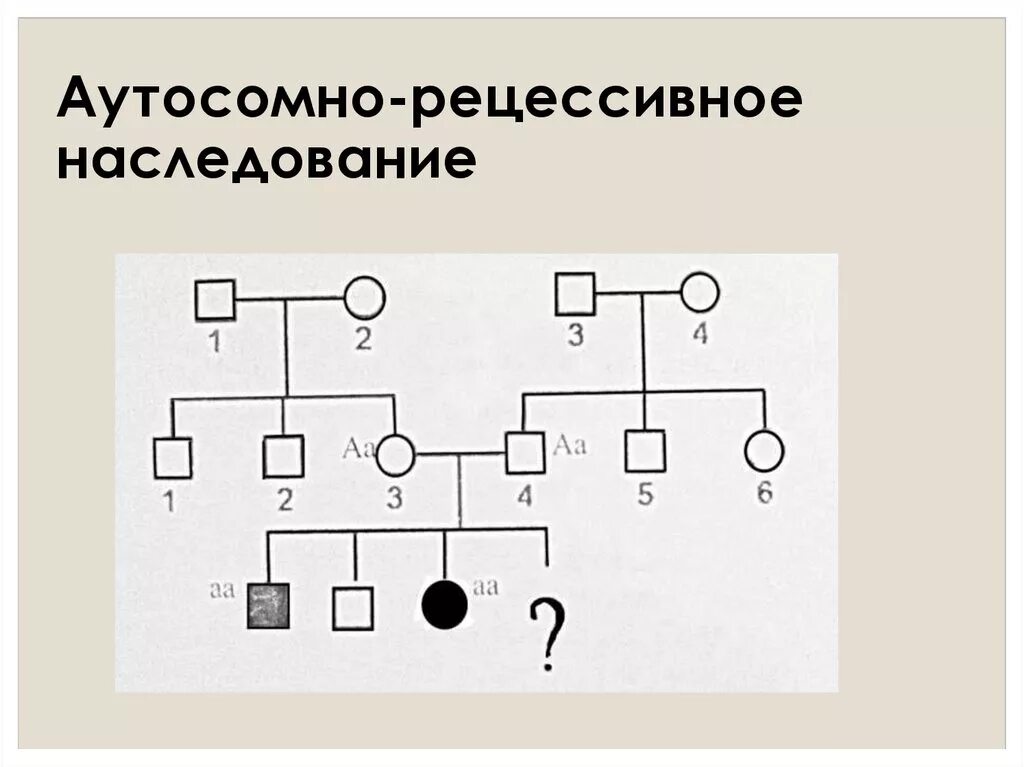 Рецессивный омега. Аутосомно-рецессивный Тип наследования схема. Аутосомно-рецессивный Тип наследования примеры. Аутосомно рецессивный Тип наследования генеалогический метод. Родословная с аутосомно-рецессивным типом наследования.