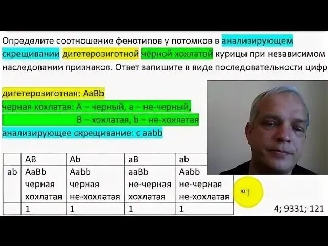 Соотношение фенотипов. Определите соотношение фенотипов. Определите соотношение фенотипов у потомков. Анализирующее скрещивание дигетерозиготной черной хохлатой курицы. Дигетерозиготный хомяк