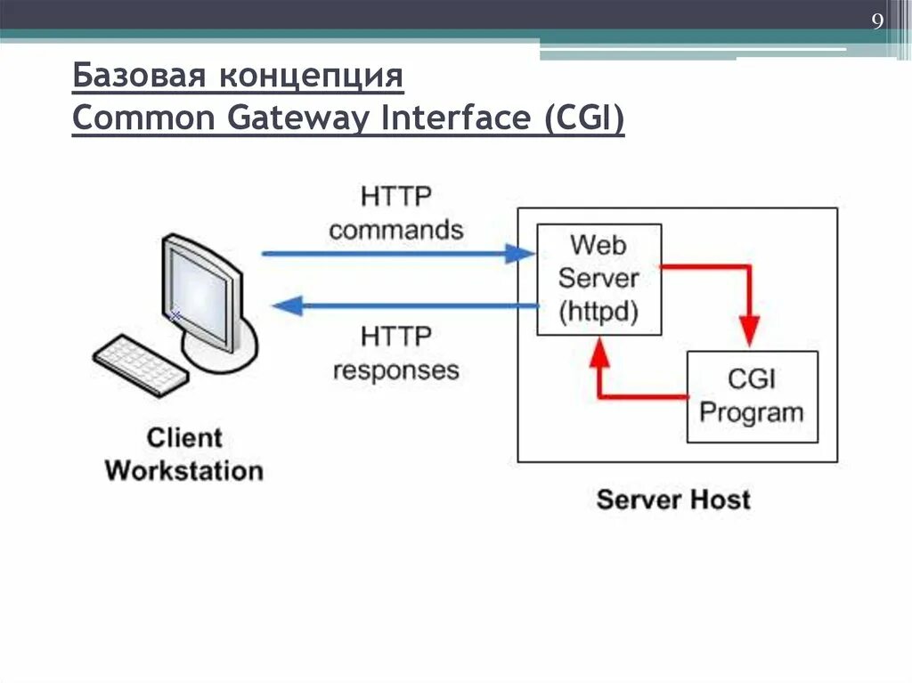 Шлюз интерфейсов. Web-сервер cgi. Cgi (common Gateway interface). Интерфейс шлюзов cgi. Шлюза веб-сервера это.