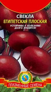 Свекла египетская плоская описание сорта