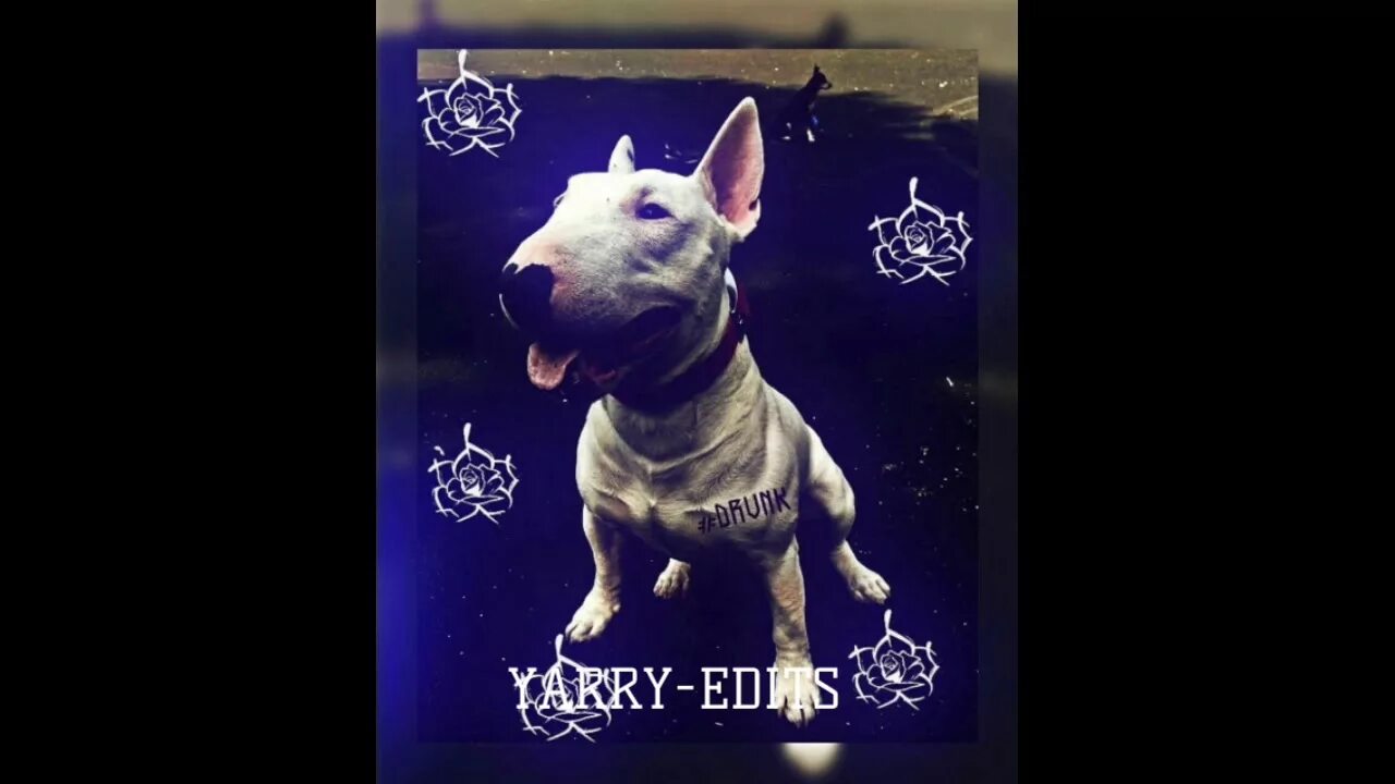 Yaryy edits только не беги. Yari edits. yaryy edits обложка. ава yarry. ň yaryy~ edits..