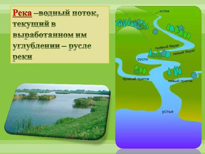 Исток реки география. Схема реки Исток приток Устье. Схема реки Исток русло Устье. Устье Исток русло части реки. Что такое Устье реки и Исток и русло и приток.