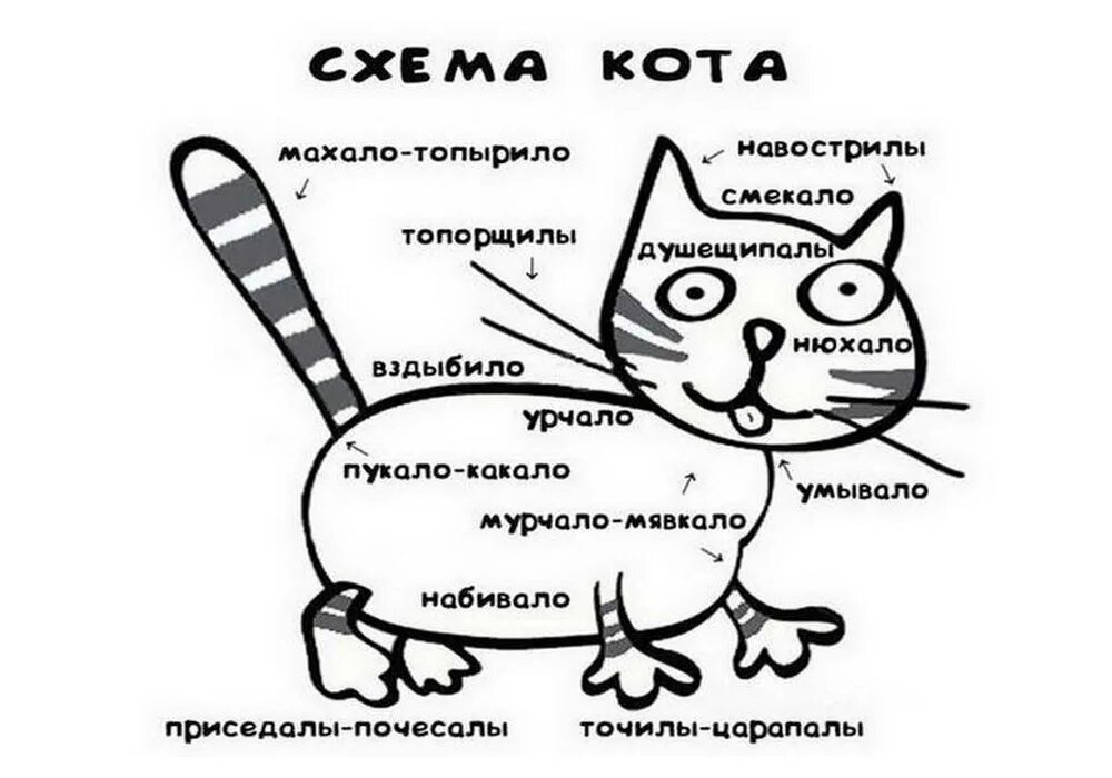 Посвящается кошке лизе картинки