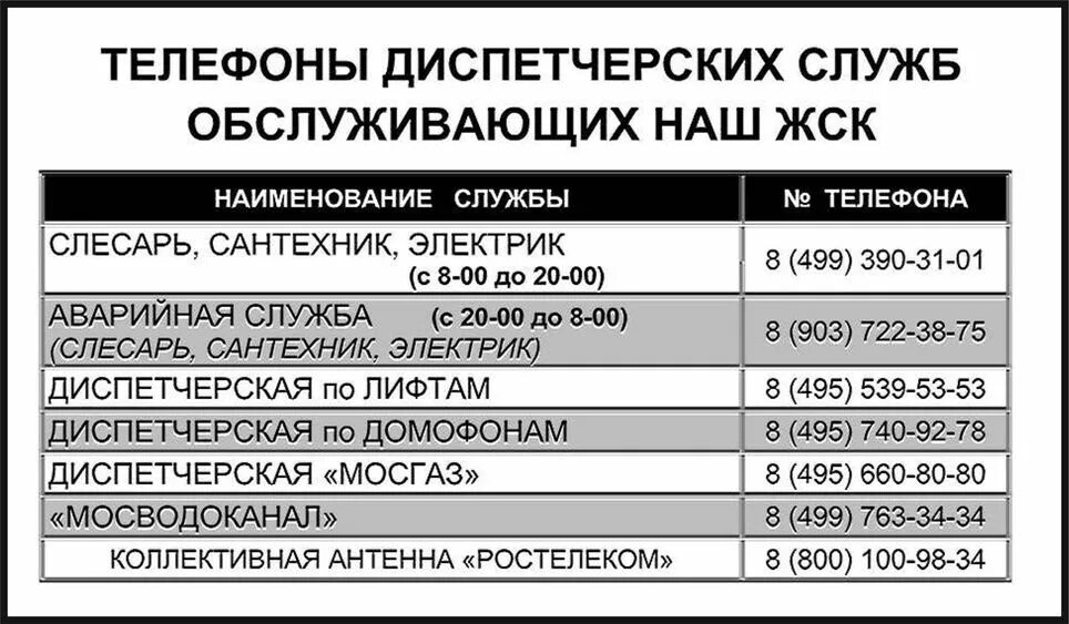 Смт телефон московский. Номер телефона. Рабочий номер телефона. Рабочие Телефонные номера. Номера телефонов справочник.