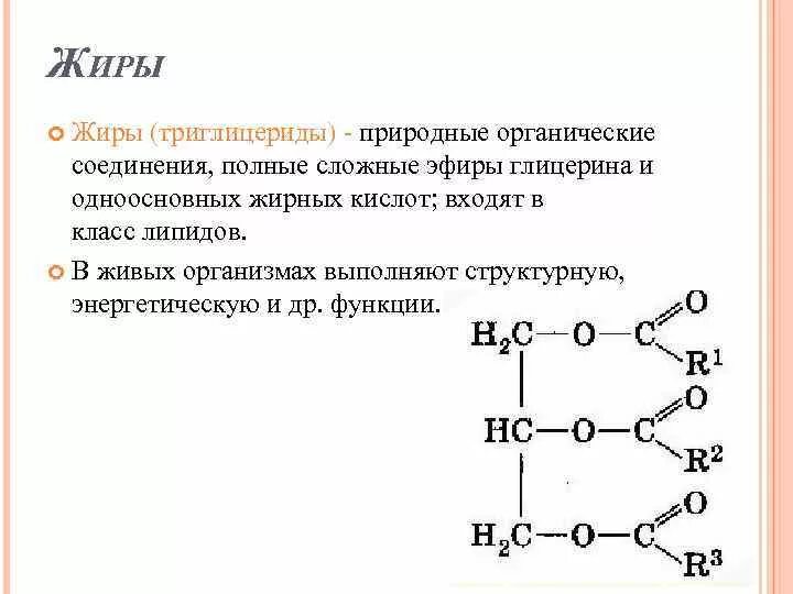 Строение триглицеридов. Строение триглицеридов