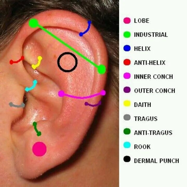 В каких местах на уши. Точки на ухе для прокола ушей. Схема проколов уха. Названия мест пирсинга на ухе.