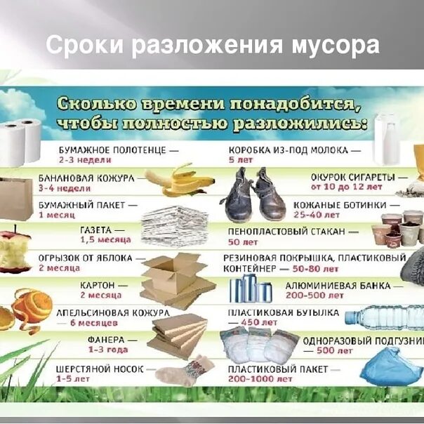 Сколько разлагается жвачка. Срок разложения пластика. сколько лет разлагается пакет. время разложения пластикового пакета.
