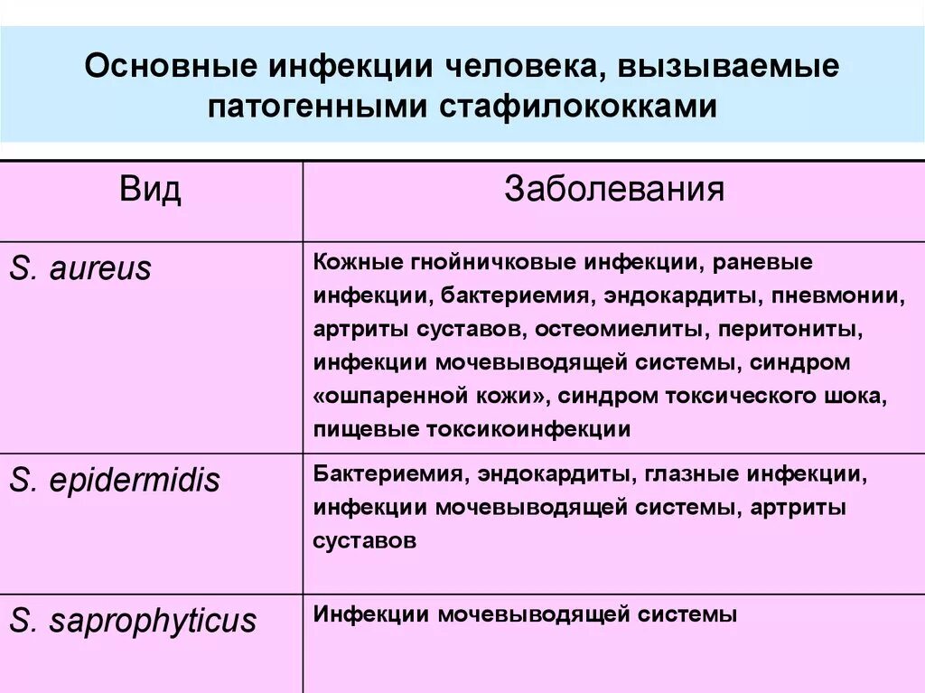 Какое заболевание вызывает стафилококк