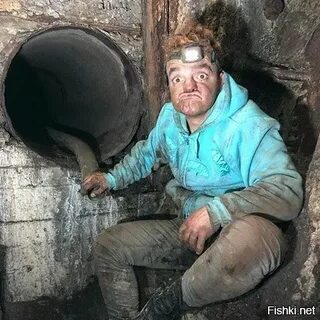 i?id=2441eb063d61c046c849d09e0e77c35dc95e806d-10256374-images-thumbs&n=13