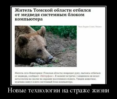 От какой отбилась