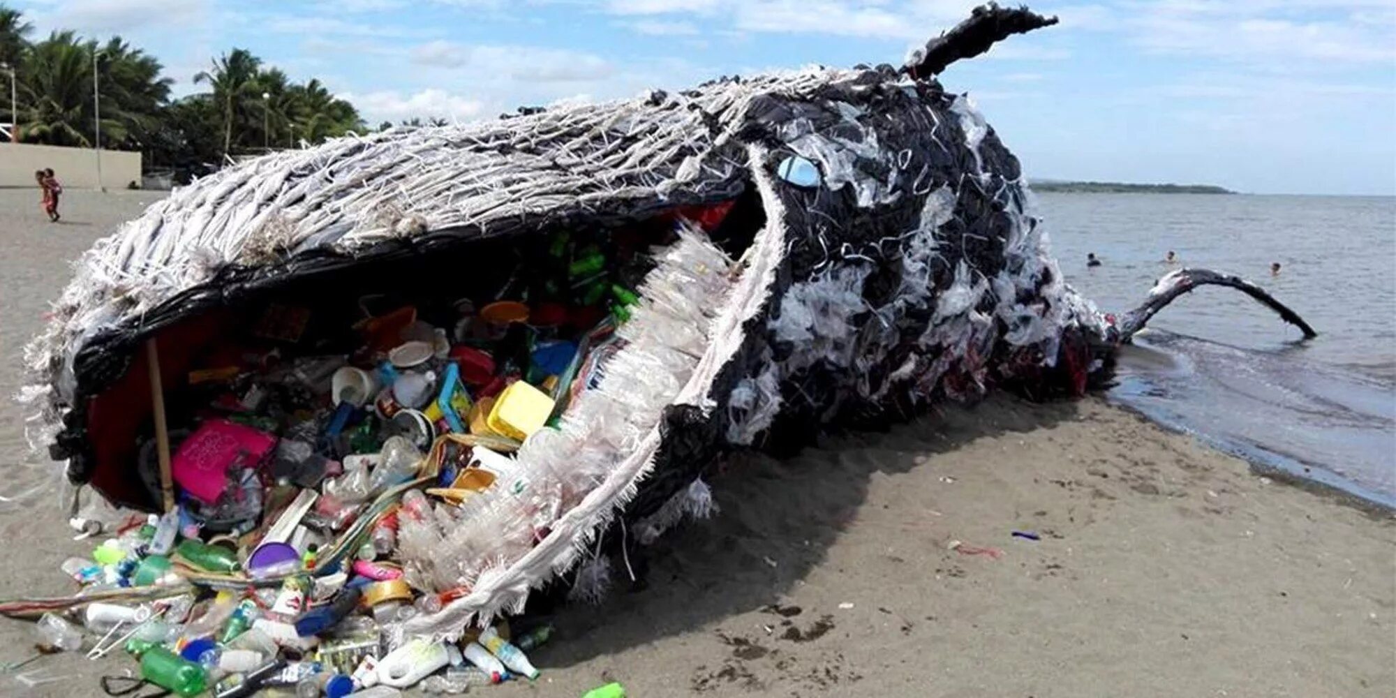 Чем опасны отходы в морях. Чем опасны отходы в морях