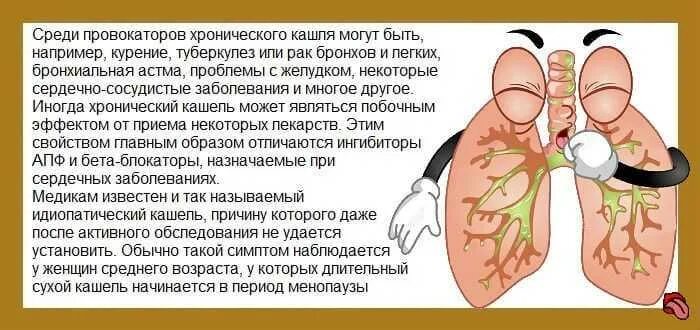 Как долго проходит кашель с мокротой. Кашель с мокротой у взрослого. кашель с мокротой без температуры у взрослого.
