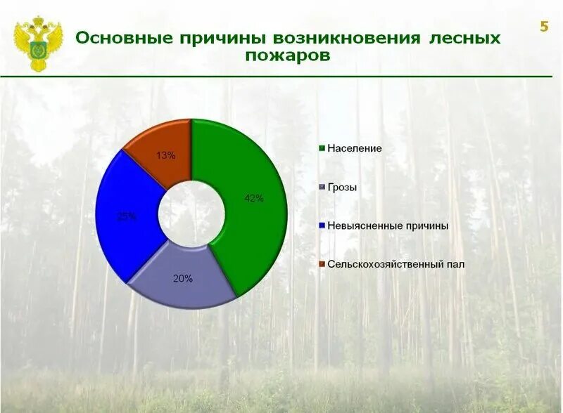 Основная причина возникновения. Причины возникновения лесных пожаров. Причины возникновения местных пожаров. Причины возникновения лесных пожа. Наибольшее количество природных пожаров происходит:.