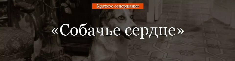 Произведение собачье сердце краткое содержание. Краткий пересказ Собачье сердце. Собачье сердце краткое содержание. Собачье сердце краткое. Собачье сердце очень краткое содержание.