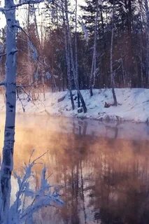 Зимним холодом разбор