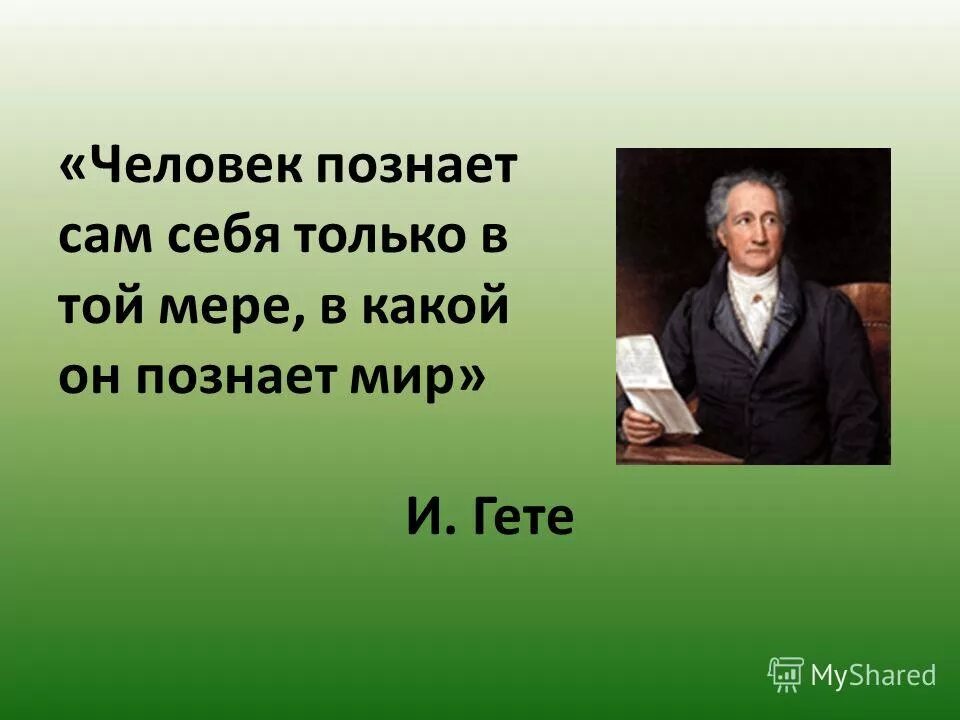 Познай себя цитаты. Цитаты о познании самого себя. Афоризмы про познание. Человек познает себя.