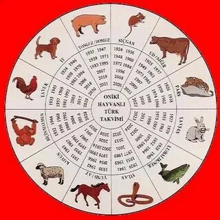 Қара және ақ түсті эротика суреттері