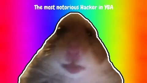 Хомяк из мема тик ток