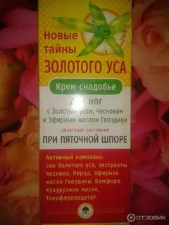 Золотой ус при онкологии