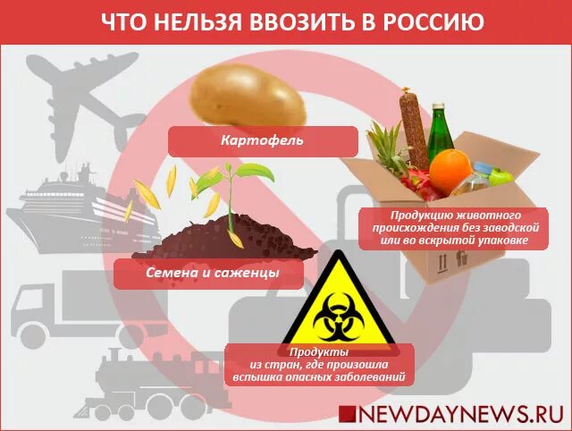 Казахстан запрет на ввоз. Что запрещено ввозить в Россию. Что нельзя ввозить в Россию. Нормы провоза продуктов через границу. Ввоз продуктов в РФ.