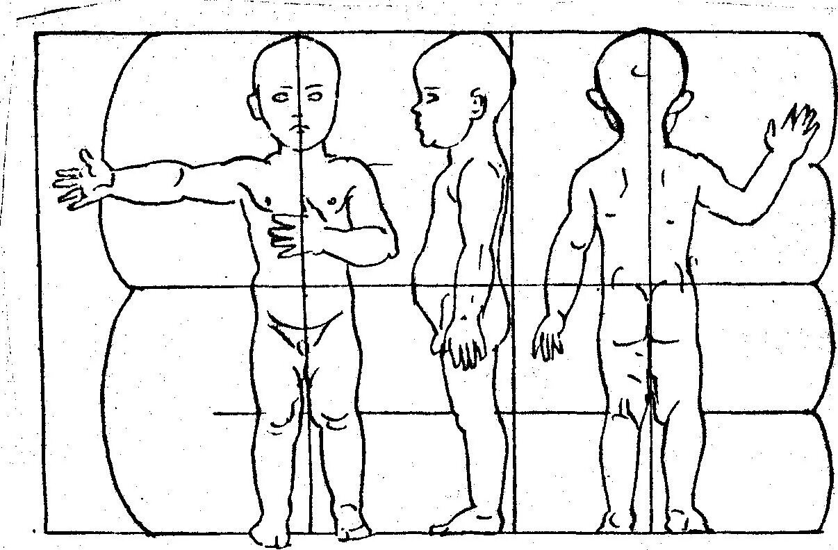 Схема пропорций тела ребенка. Анатомические пропорции ребенка. Анатомия пропорции тела ребенка. Пропорции ребёнка в рисунке. Схема человека для детей