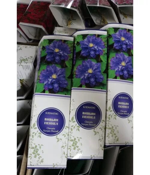 Опт хоз клематисы отзывы. Оптхоз саженцы интернет магазин каталог. Опт-хоз интернет-магазин. Опт-хоз интернет-магазин. Оптхоз саженцы интернет.