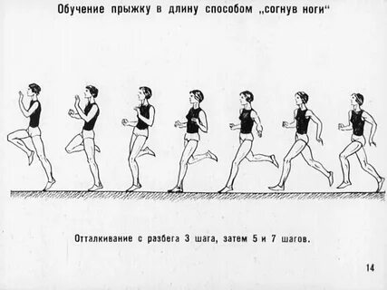 Конспект техника прыжка в длину с места