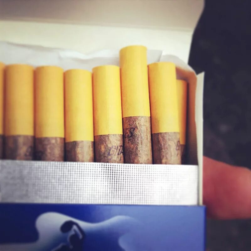 Сигареты для некурящих актеров купить. Сигареты Джитан. Французские сигареты. Папиросы Житан. Французские сигареты без фильтра.