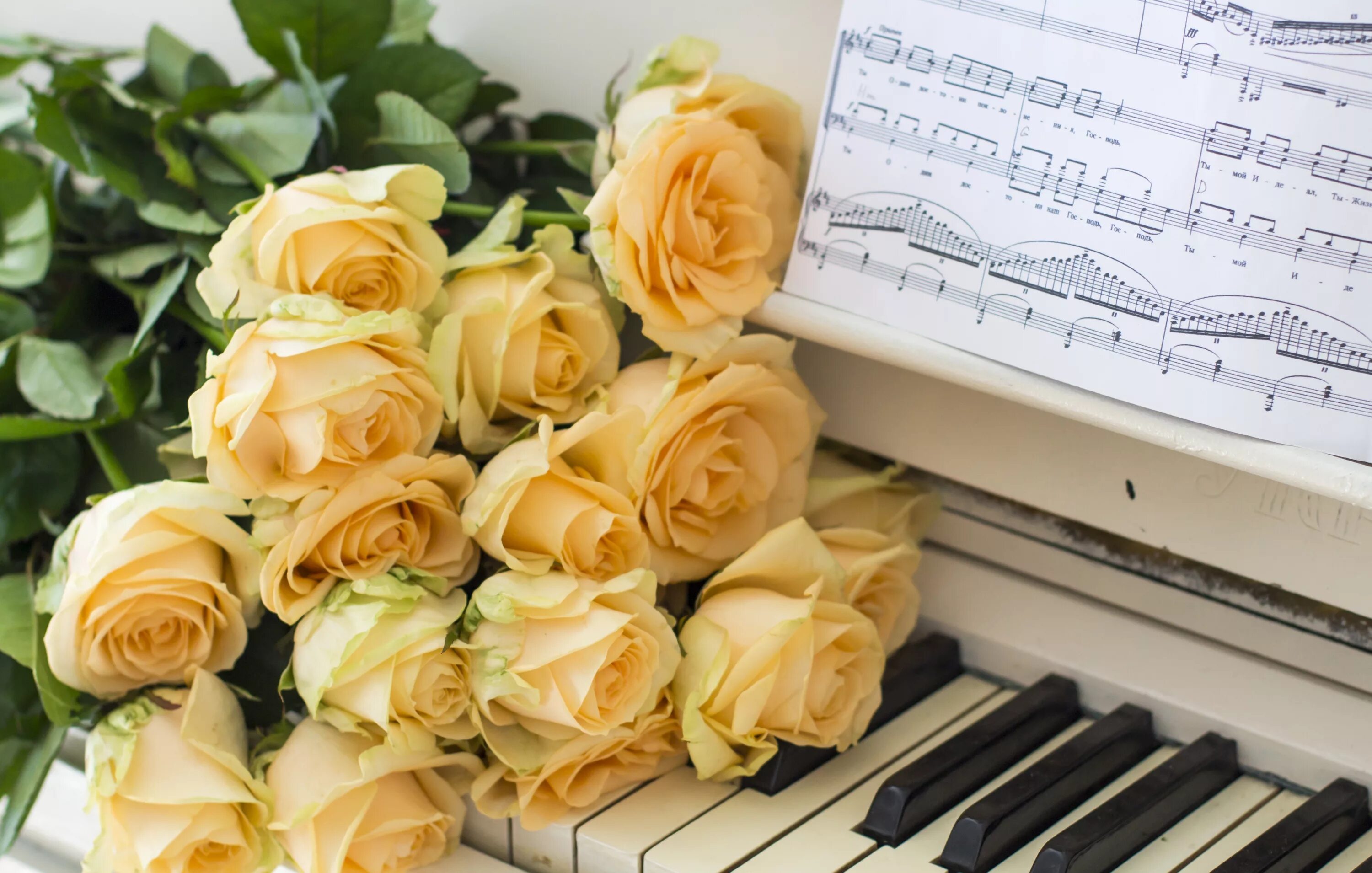 Музыкальная открыточка. Цветы на рояле. Музыкальный букет цветов. Цветы для музыканта. Цветы на пианино.