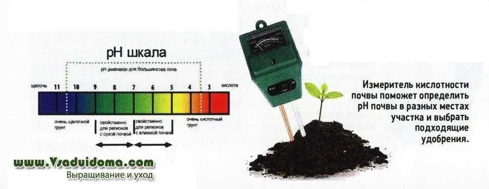 Почвенная кислотность. Шкала PH почвы кислотности почвы. PH почвы для растений таблица кислотности почвы. Кислотно-щелочной баланс почвы для растений таблица. Таблица измерения кислотности почвы.