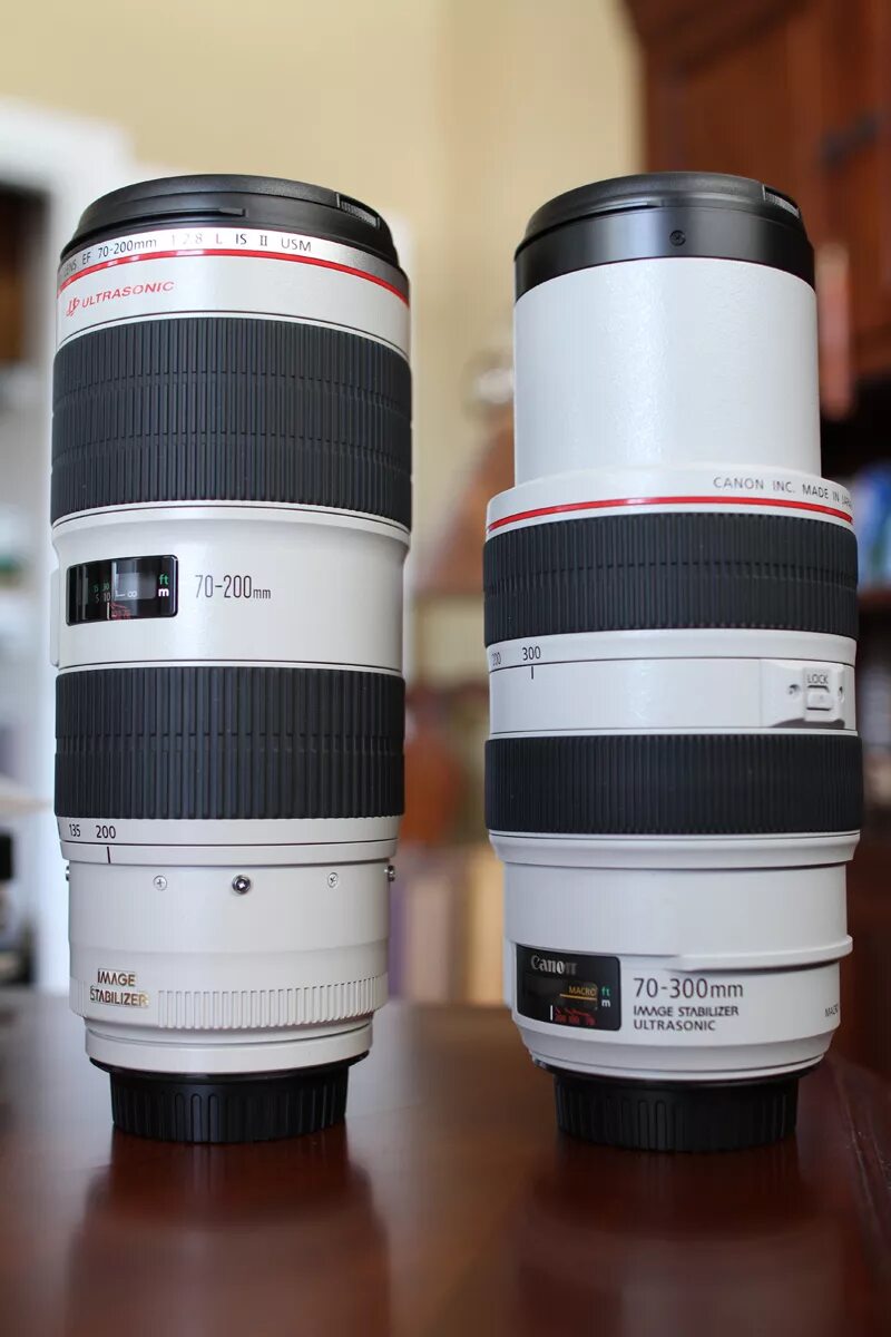 Canon 70 300mm f 5.6. Canon 70-200 2.8l. Canon 70-300 l f 4-5.6. Canon 70-300. Canon 70-300mm f/4-5.6.