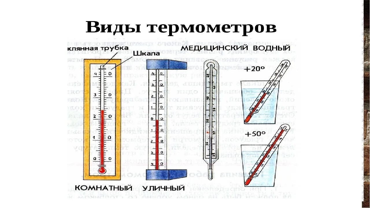 Как человек определяет температуру