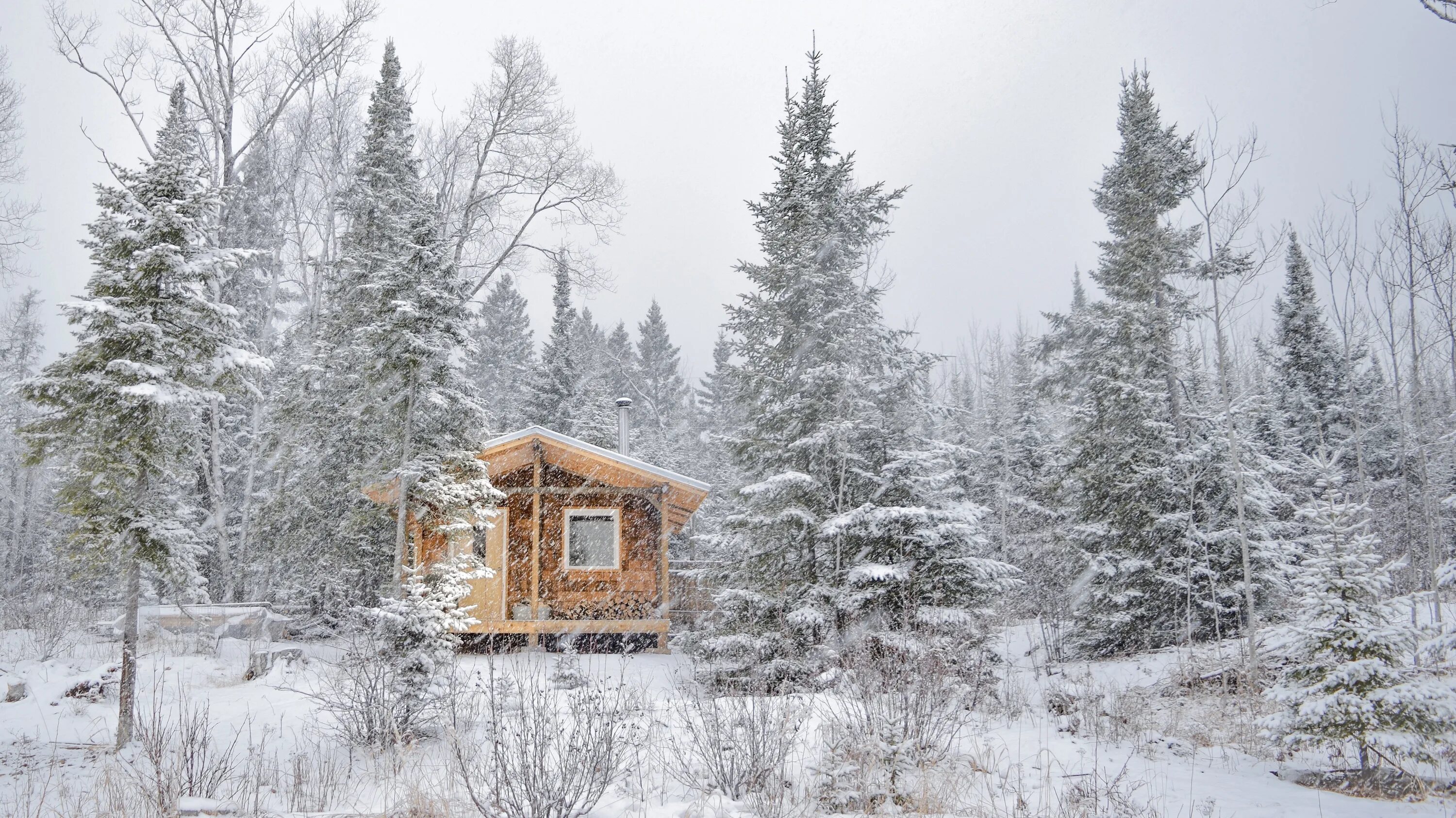 Дом в пурге купить. Лесной домик Омск. Дачный домик в снегу метель сосны. Ретрит-центр зима лес снег.