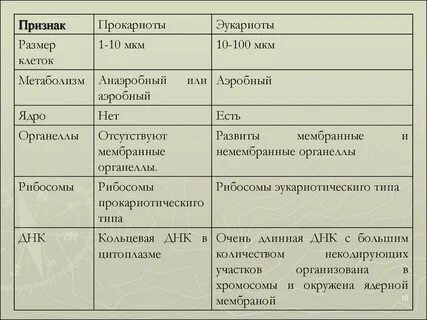 Сравнительная характеристика прокариот и эукариот таблица 10