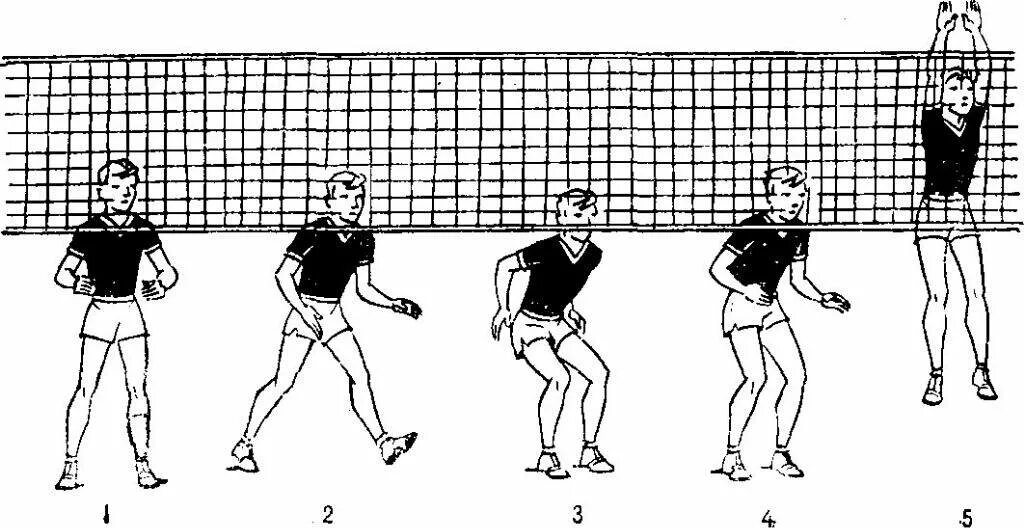 Техника блокирования мяча в волейболе. Техника выполнения блокирования мяча в волейболе. Блокирование мяча в волейболе. Схема блокирования в волейболе.
