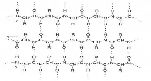 Состав b6. Структура белковой молекулы печатная форма. Строение b7. B2h6 строение. B2o3 строение.