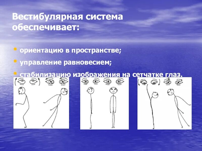 Теряет ориентацию в пространстве