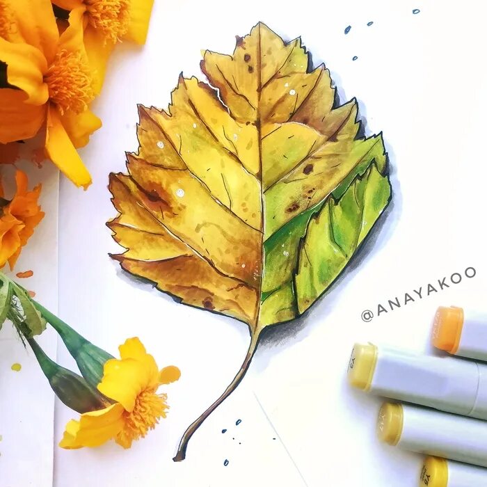 Листочек для фломастеров. Осенняя зарисовка маркерами. Листья фломастерами. Арт листья маркерами. Тропические листья акварелью.