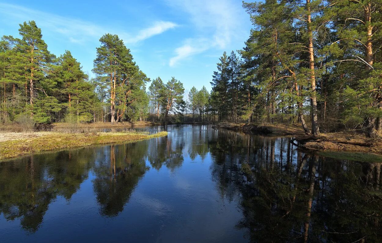 река харинка иваново железнодорожный мост. речка бужа рязанская область. речка бужа рязанская область. река бужа владимирская область. бужа язь.