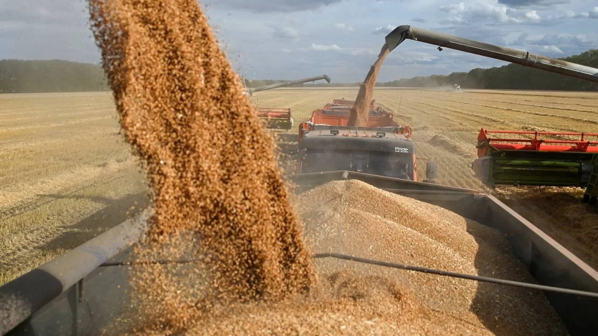 Экспорт зерна. Экспорт пшеницы. Поставки зерна. Зерновой экспорт.